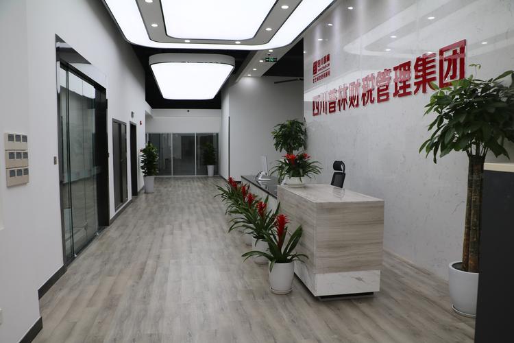 社会经济咨询 从经营合规到价值赋能的专业服务